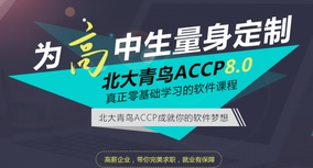 ACCP软件工程师（海南）