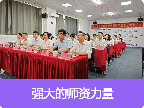西安北大青鸟学校怎么样
